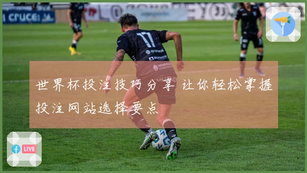 世界杯投注技巧分享 让你轻松掌握投注网站选择要点