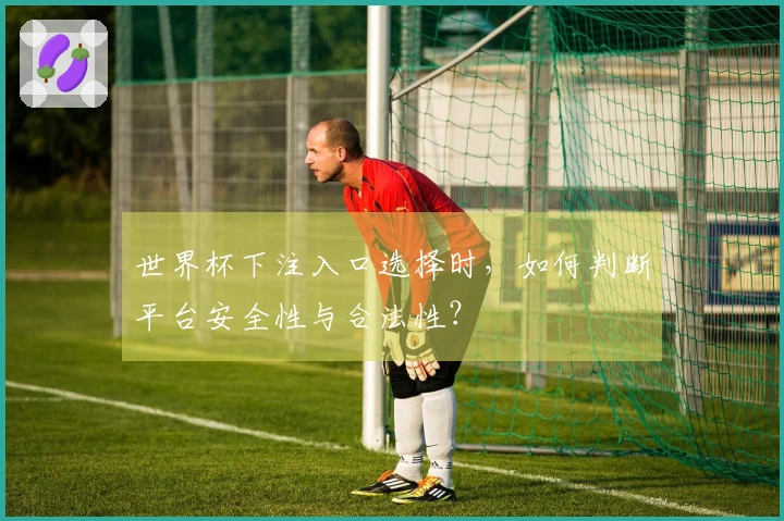 世界杯下注入口选择时,如何判断平台安全性与合法性?