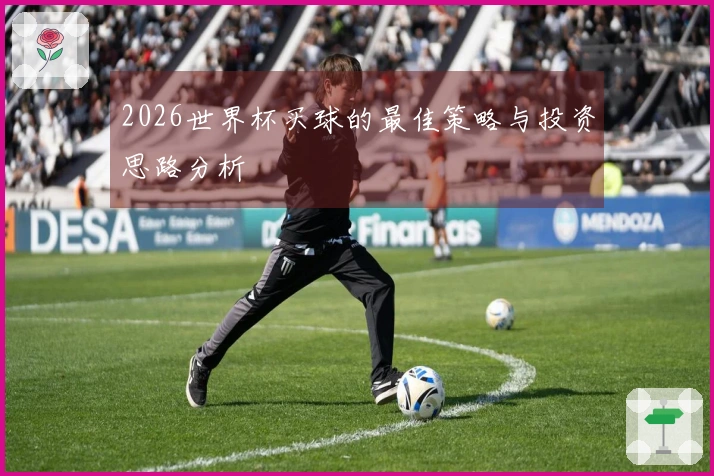2026世界杯买球的最佳策略与投资思路分析